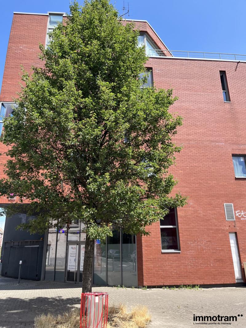 Achat Appartement Lille tramway Gare Lille Flandres - ref VA27244 - 1